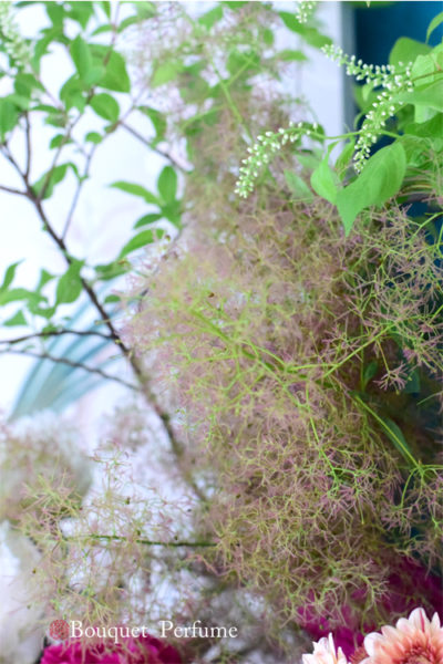 スモークツリー 種類 夏に人気のスモークツリー 色と種類ごとのフラワーアレンジメントのコツ 使い方 フラワーアレンジメント教室 横浜