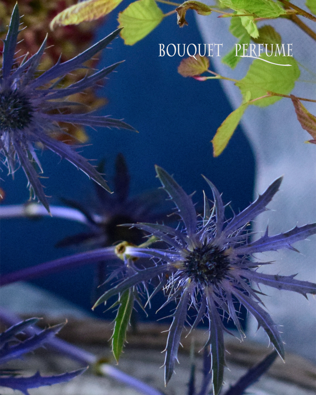 夏のアレンジにエリンジウム ナチュラルに 野性的に