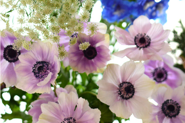 お花 アネモネ 淡い紫色のアネモネは大人可愛いくミステリアスな顔 市場でも大人気の春のお花 フラワーアレンジメント教室 横浜