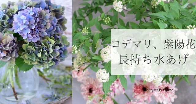 水あげ コデマリ アジサイ 木蓮 モクレン 花を長持ちさせる水あげ方法とは フラワーアレンジメント教室 横浜