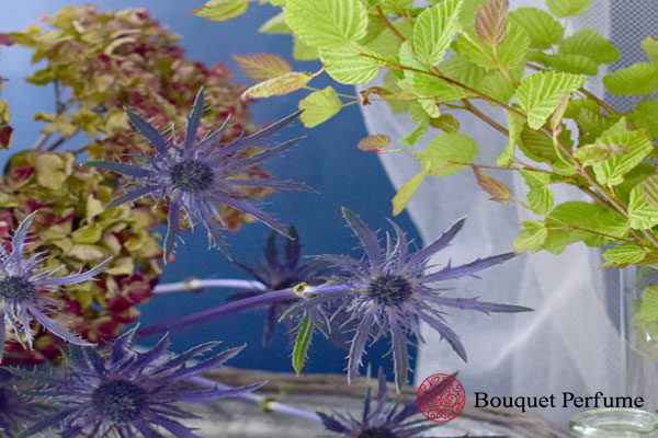 神秘的で刺々しい エリンジウムの花を紹介 フラワーアレンジメント教室 横浜 神奈川
