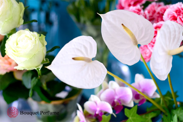 花 アンスリウム 夏のフラワーアレンジメントにおすすめの人気の花 フラワーアレンジメント教室