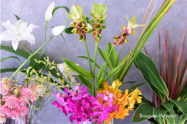 花 夏の切り花 エキゾチックなワイルドフラワー 蘭 クルクマなど夏の花でフラワーレッスン始まります