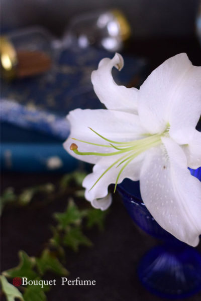 花 アレンジメント 百合の花言葉と由来 漢字の意味由来 フラワーアレンジメントの使い方などを解説