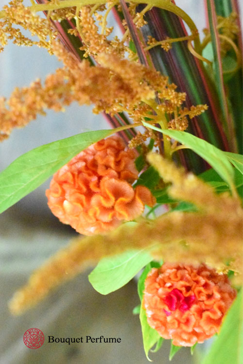 花 切り花 ケイトウの花でフラワーアレンジメントの作り方と水揚げ 管理方法