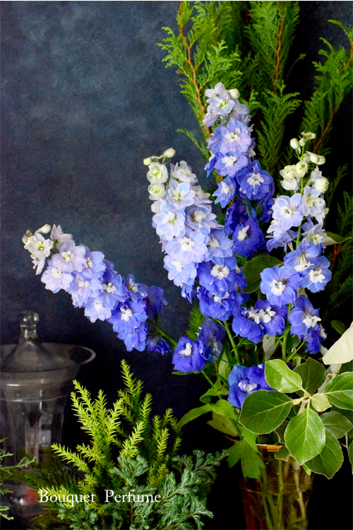 画像をダウンロード 水色 青い 花 デルフィニウム 2373