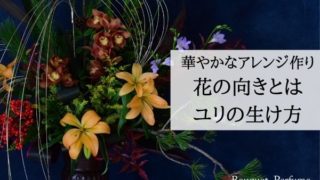 ユリ 花粉 花粉の無い 無花粉 タイプのユリ ヴァンドームの花 フラワーアレンジメント教室 横浜