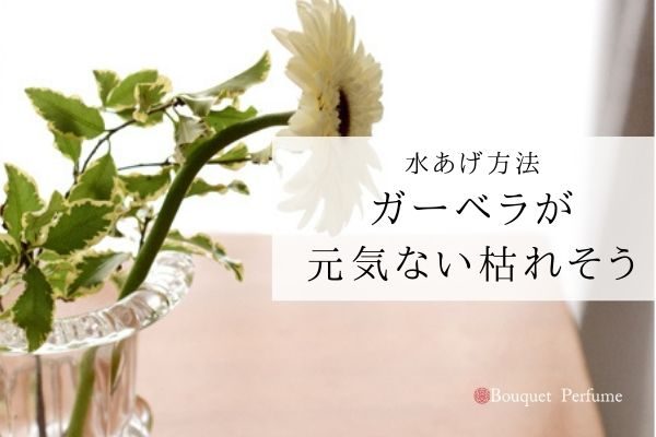 ガーベラ 水あげ 花が枯れそう 元気ない時のガーベラを長持ちさせる水あげ方法 フラワーアレンジメント教室 横浜