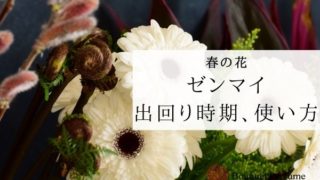 花 緑 夏の花 モルセラとは アレンジメントの作り方 扱い方 緑色の個性的な花の魅力とは フラワーアレンジメント教室 横浜 神奈川