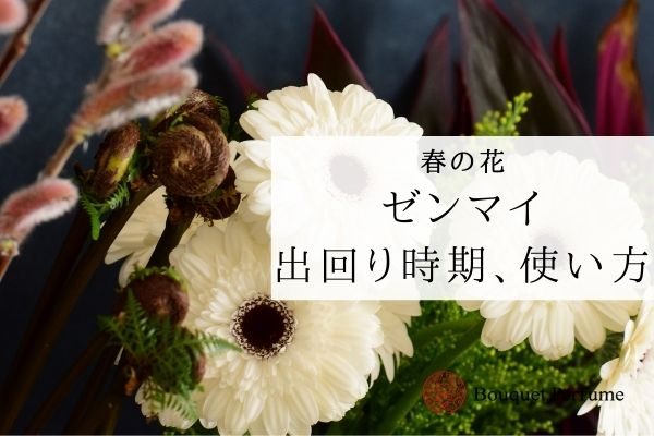 ゼンマイ お花 出回り時期 選び方 使い方など春のお花 ゼンマイの基本講座 フラワーアレンジメント教室 横浜