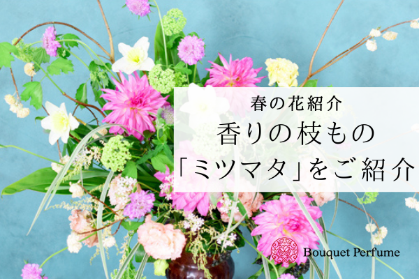 花 ミツマタ ミツマタの出回り時期 使い方 お花の魅力 春の枝物アレンジメントを作りましょう フラワーアレンジメント教室 横浜