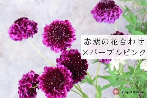 フラワーアレンジメント 色合わせ 赤紫のスカビオサとパープルピンクの花でお洒落な花の色合わせ フラワーアレンジメント教室 横浜