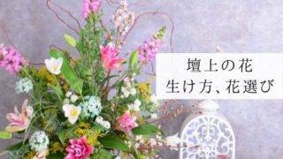 フラワーアレンジメント オアシス フラワーギフトをもらった時のオアシスの管理と再利用出来るか