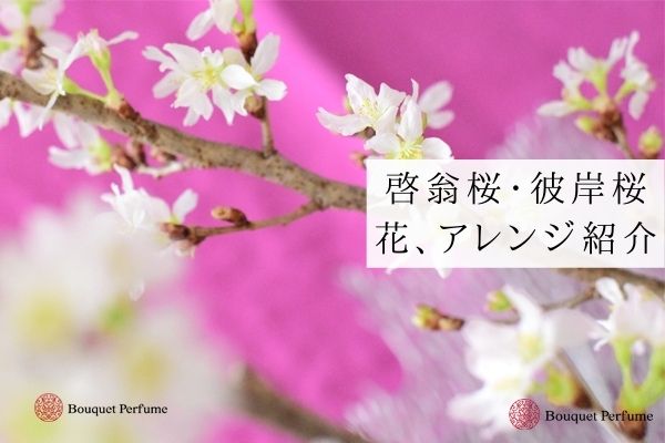桜のフラワーアレンジメント