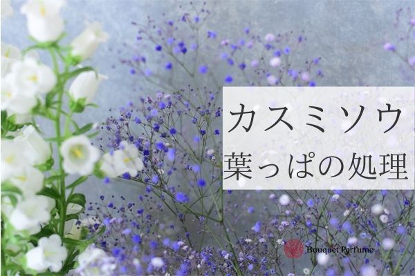 お花 カスミソウ アレンジメント 花束を作る前の葉っぱの処理 下準備で花が長持ちするプロの技とは フラワーアレンジメント教室 横浜