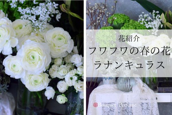 春の花 白 ラナンキュラスはフワフワの春の白い花 春のフラワーアレンジメントにおすすめの花 フラワーアレンジメント教室 横浜